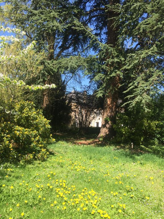 拉迈松德维加尔迪住宿加早餐旅馆 克卢尼 外观 照片